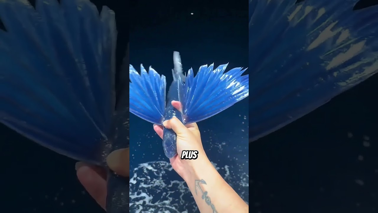 😱Ces animaux ont des super pouvoirs… et tu n’es pas prêt !⚡ #animalfacts #animalshorts #animals