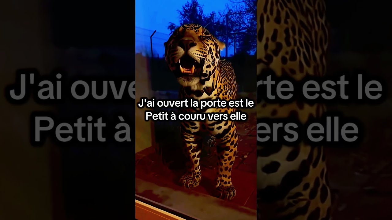 Mon chat a ramené un bébé jaguar à la maison !