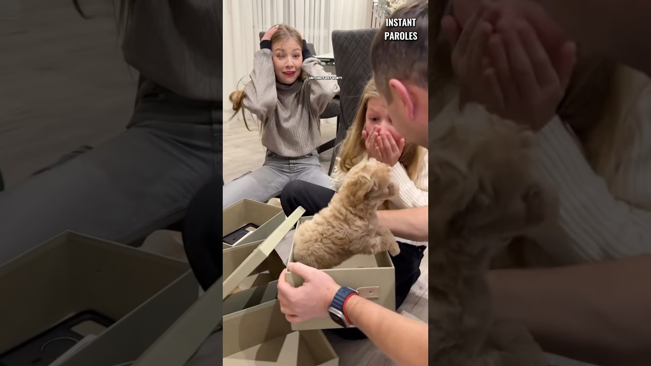 Ces frères et soeurs ouvrent leur cadeau de Noël puis découvrent une surprise spéciale #shorts