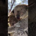 😱Ces Animaux Font les Sons les Plus Étranges de la Nature... #animals #dinosaur #animalfacts