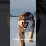 😱Ces animaux préhistoriques vont vous laisser sans voix #AnimauxPréhistoriques #Dinosaures #Shorts