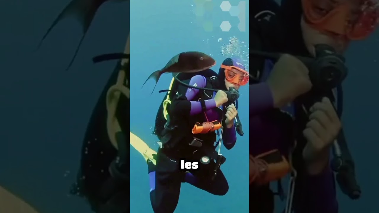 😬Sous l’eau, ce sont de vrais monstres même si ils ont l’air inoffensifs… #animalfacts #animalshorts