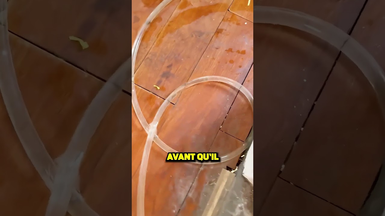 PAPA, FAIS ATTENTION À MON POISSON ! 😱🐠🚨