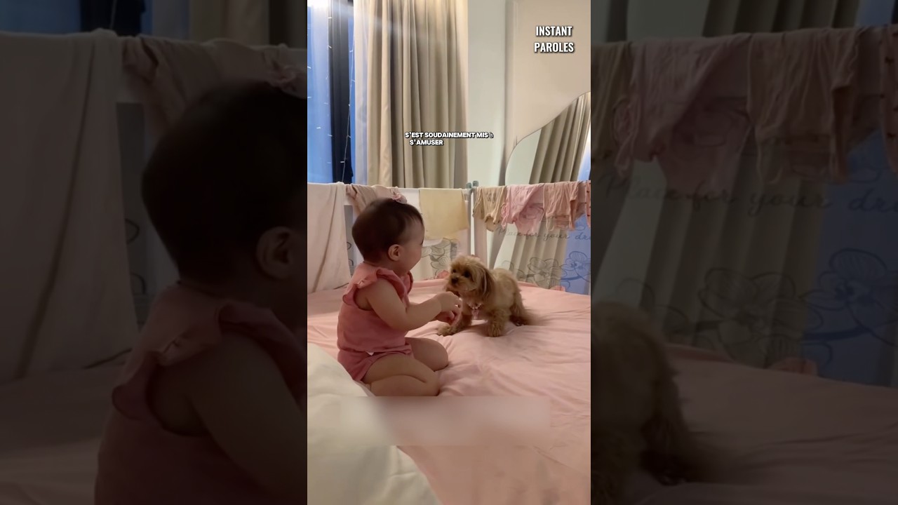 Ce chien joue avec ce bébé et lui apporte beaucoup de joie #shorts