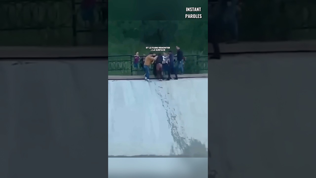 Ces personnes qui se sont mobilisées pour ce chien reçoivent une surprise spéciale 10 ans après