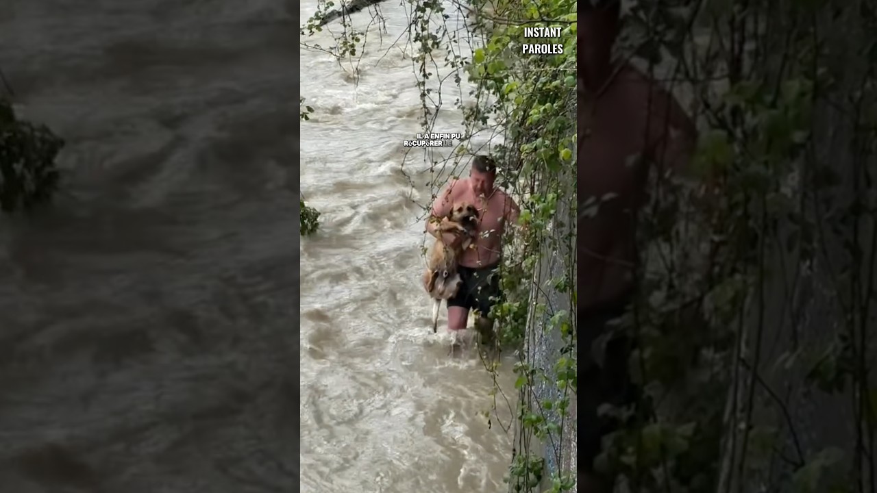 Cet homme se mobilise pour secourir un chien dans un courant d’eau