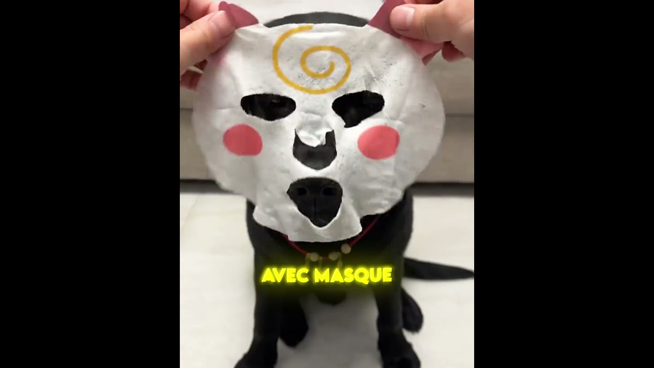 CE CHIEN VOULAIT UN RELOOKING ! 😱💄