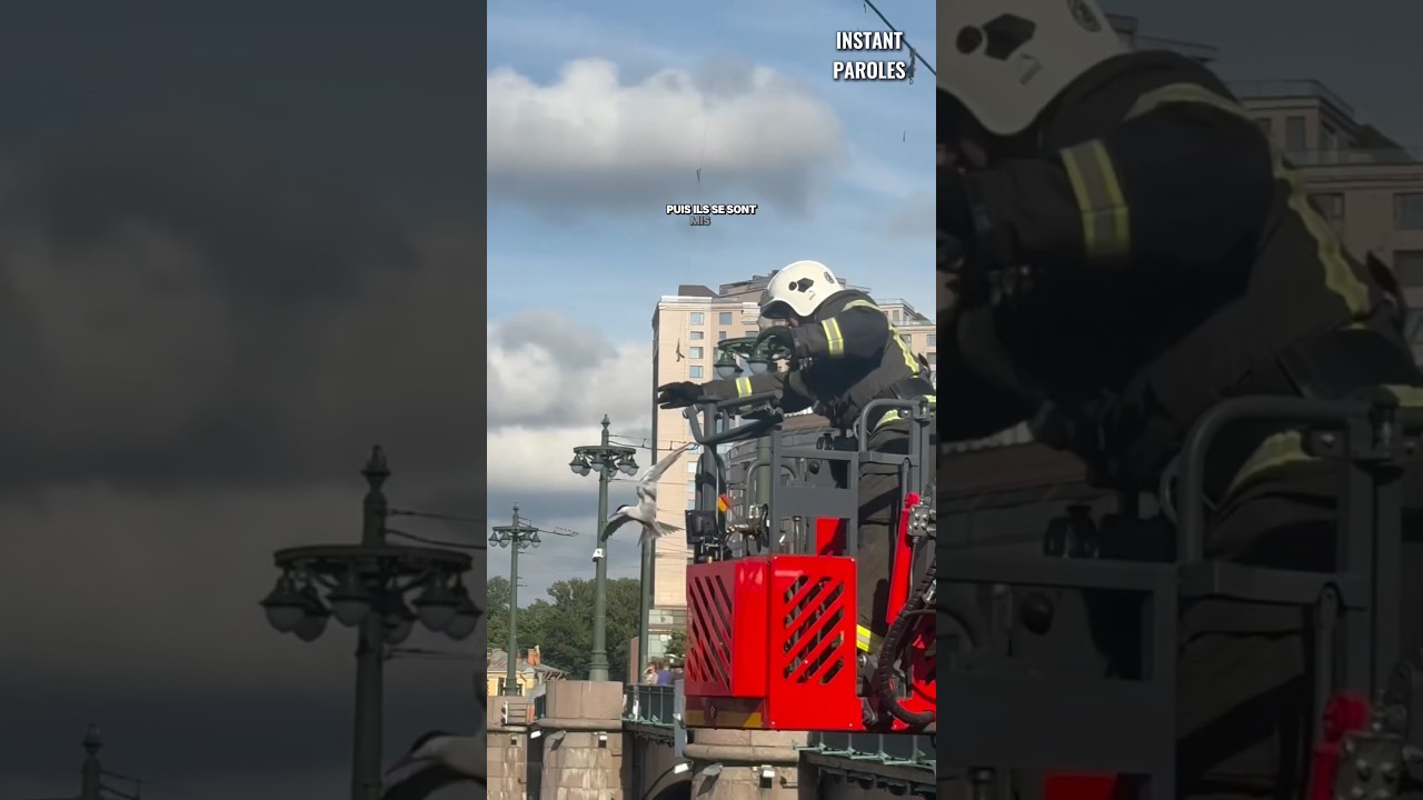 Ces pompiers se mobilisent pour libérer un oiseau coincé près d’un pont